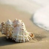 33fbad4ce2f382dc2d796d75d3fa11ea0ef5cc29