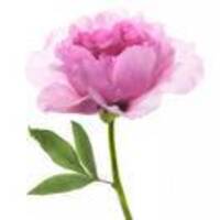 00e4f9f613d88df600676dec600e0e6a8e53a00a