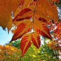 1ddf3c311998a755b67da07c27e882ca3f5822d0