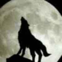 16119c527a7e1fe7c22a3a405563184edaf50556