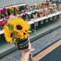 Ff2b22292737ee92557fb1dc7738cfbb01968992