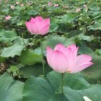 F056e605d41f4d9e272c744f23c873946210231f