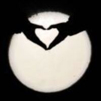 Ae94526c6da7a4c720daaec65a02f9a6fe426e49