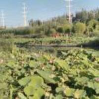 4516f5fa3cf9711f3b310cc505a96c4dbb8d1fc8