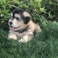 Ee280a2c901279e06bac0a01592dd57496246112