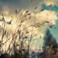 3291a50ffd42fe509554599fb0d0c86333a95856