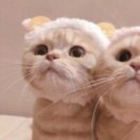 8742c9928ecd2ed59e78387fcd65346810eef72c