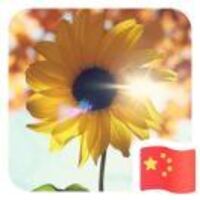 889c06b08bf193785883eaa388592560a14df327