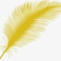 428f88a773bfc8a922f9837f7b46e51eef32843f