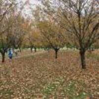 73ac277d65a0a73bad3154feeb3bdb0765052725