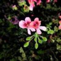 A9f9db4d8cfbec90a0e02bf0b2aa29909575ec26