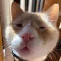 F5cb3854f52a0dd9125d940aea1171ee013c1b32