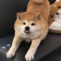 8920b94487d974996aa07dd34c2991fc082d1709