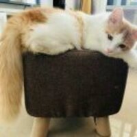 6d1ba1f63f6611f9ad2b607cb4619c772e9d9a4f