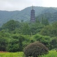 4955012a916657c52b93552745c1c12bcc7ea807