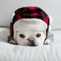 A64379b2750102252ce13f992eb95f6d4550fdcc