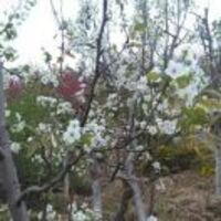 7ad707232a1fc69edc2e07669e21d515b4c68d35