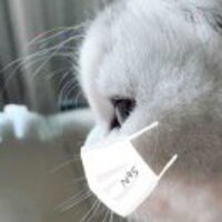 255405d0246e2663906d4295e44e143e7b11283e