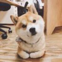 4da17f6b5933a53d3ffd47c2fbe383c3dbae8712