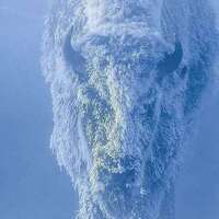 593b6b47e09ac6aa5ccdc202049ad089baee7130