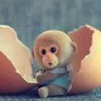 E552655d3f622daf5af37ddfc322e264a6d970f9