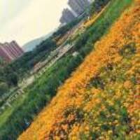 75b81510e71c0bba9d881b0c1be0d0d44f922176