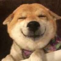 Ecffc69e6a8cb04482c774af2432005a06aa3246