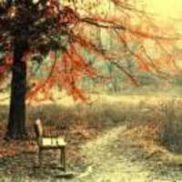 10051f0358a667c245afcfa3721a00da453fffa2