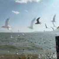 F224e3c56444f59c63037836cf652f9b908643d7