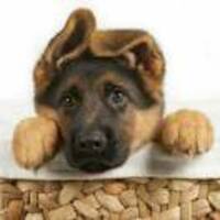 5a2de31bbced6741d6ee631abe13ab532cabd712