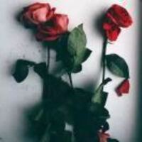 876be0cafbd4ba569475b9c096c76a32a37b568a