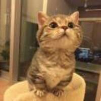 59c4fcc8c72dd1ba4a21662428d057f98608e101