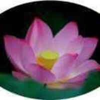 3715c60ea4c578b70c65ab2e14ffc9689386747e