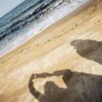 8c2a73cb61392f5d9fbfa381f42541442513eee7