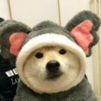 32f0715bb9a5c1a488d04d12636ee000d63c4625