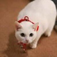 B938d0fbe39da2e8009dafaaa264747874274ffe