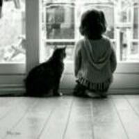 2b9e6a3a6d36cebab7cc815d65db00f60face4ad