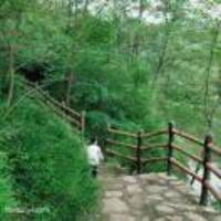 1e9686e80ab91239394050070beb36f9c7360449