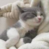 F1d8c0fed6a97961a75420e0c8732c25976f0aa4