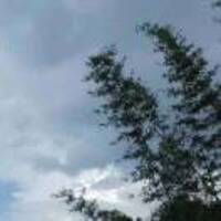 C42248b7a4ba944e1f7ed4c4e1dfc41ed2289d5c