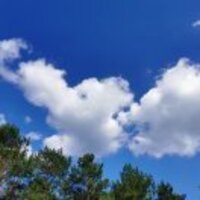 2cbe51f8ab20d93c3298532b33339e7731fa1398