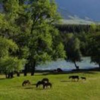 55bff5dad798b559180d00daa20da76d65a3c350