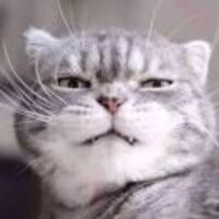 788cb1dd8c19cacc44a62d76ba2b88c48f8409dc