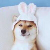 2bf8c3a772d73e0657629b3d0ee2b802983105b9