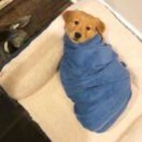 D3c9556269274a74a2652691f00d72e64ab09d70