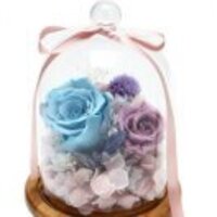 610c61568b10f0e066e7fe44d005aa727058b1ff