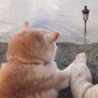 E2d81c099b56637b0348c60e522f2e713ec41e50