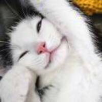 7c23ecb329255967209d0266b17dbc96216344cb