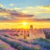 038fbe50ed068f1b4fbad2634714916180e80b40