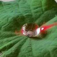 40ed5633ed8cb2bce4ff1f0d629db54485a7bd95